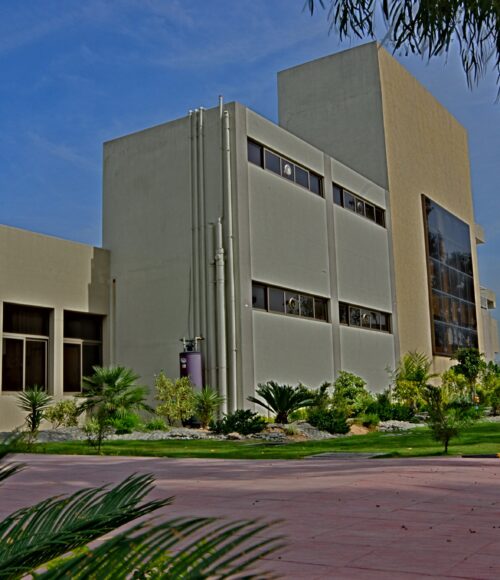 Riphah International Hospital